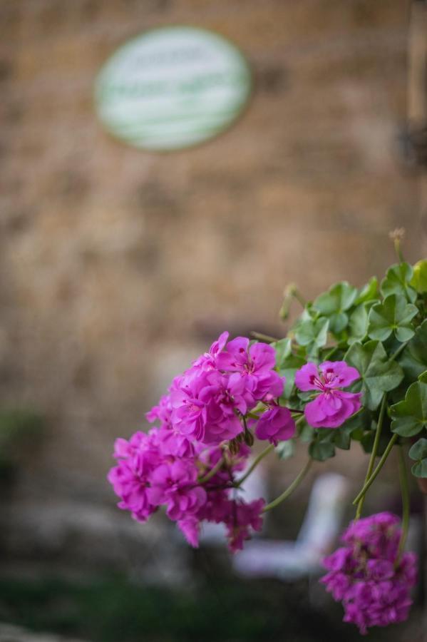 B&B Etruscan Garden Sutri Exterior photo