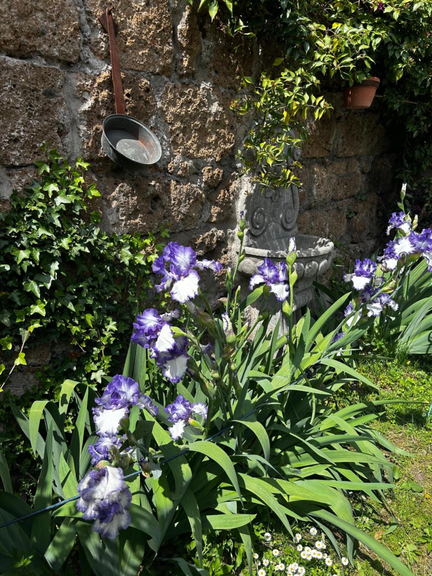 B&B Etruscan Garden Sutri Exterior photo